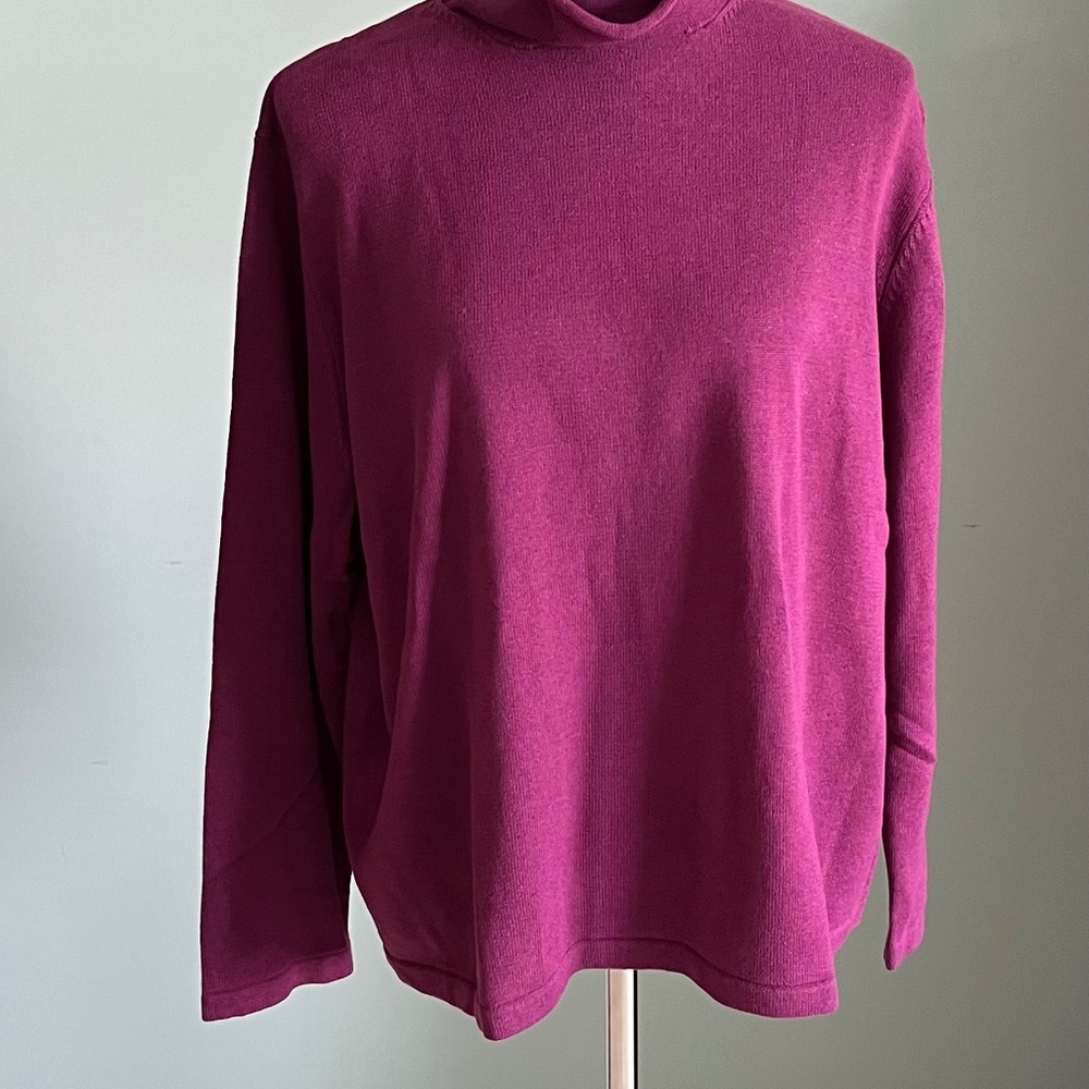 NWT J.Jill “Boysenbery” Mock Turtleneck Sweater 1X